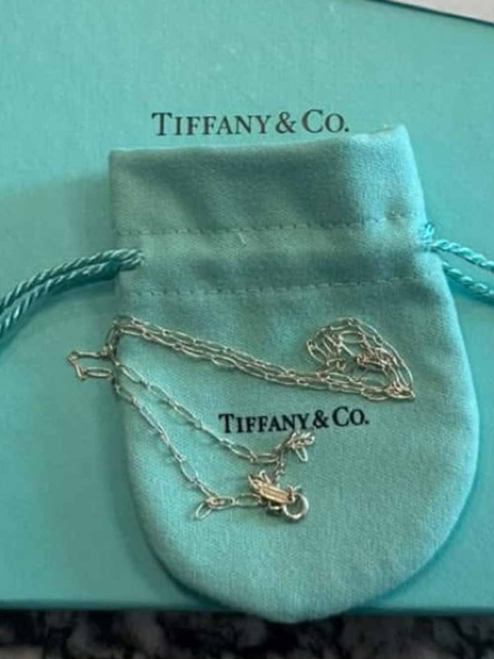 Tiffany & Co. Silver Paperclip Chain Necklace - Blue - oval link